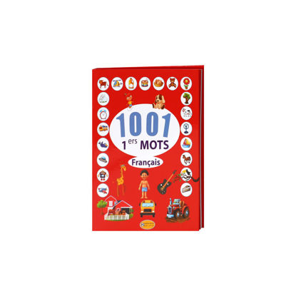 Image de 1001 MOTS FRANCAIS
