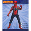 Image de DEGUISEMENT SPIDER