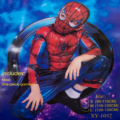 Image de DEGUISEMENT SPIDERMAN A14
