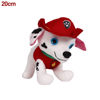 Image de PELUCHE PAW