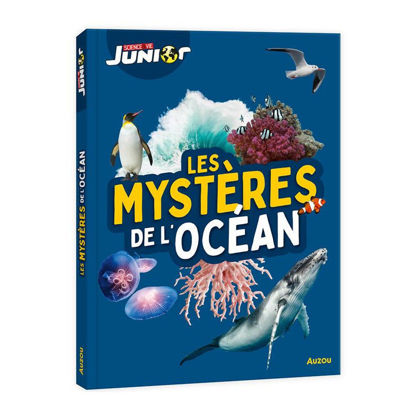 Image de LES MYSTERES DE LOCEAN