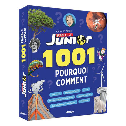 Image de 1001 POURQUOI COMMENT