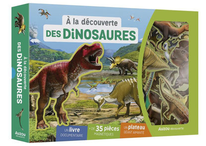 Image de A LA DECOUVERTES DES DINOSAURES COFFRET MAGNETIQUE