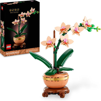 Image de L'ORCHIDEE MINIATURE 10343