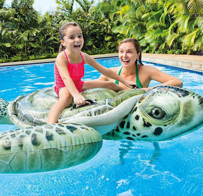 Image de Tortue à Monter Gonflable  INTEX 57555