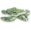 Image de Tortue à Monter Gonflable  INTEX 57555