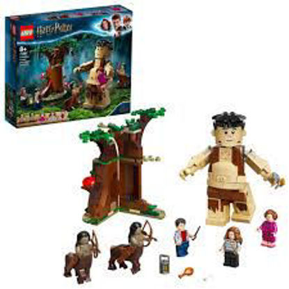 Image de HARRY POTTER LA FORET INTERDITE 75967